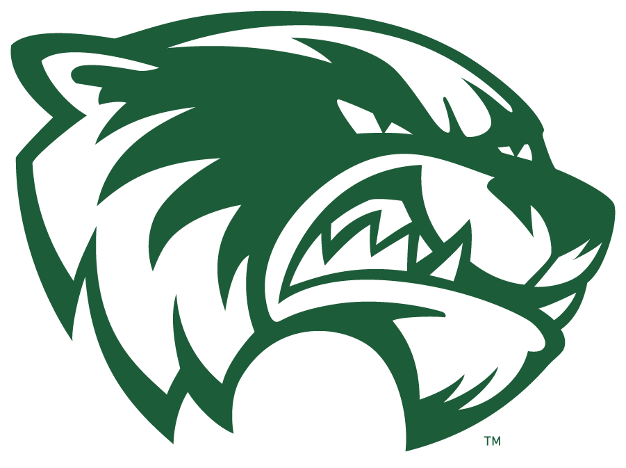 Utah Valley Wolverines 2016-Pres Primary Logo diy DTF decal sticker